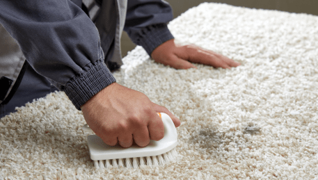 Professional Rug Cleaning Cheltenham